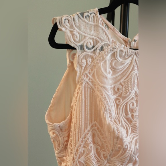 EUC REISS Roxanda Capped Sleeve Light Pink Lace Sheath Dress Size 10 - Picture 4 of 7